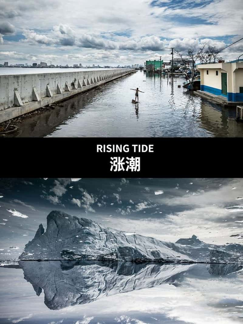 Ӣ¼Ƭǳ Rising Tide 2019-Ѹ