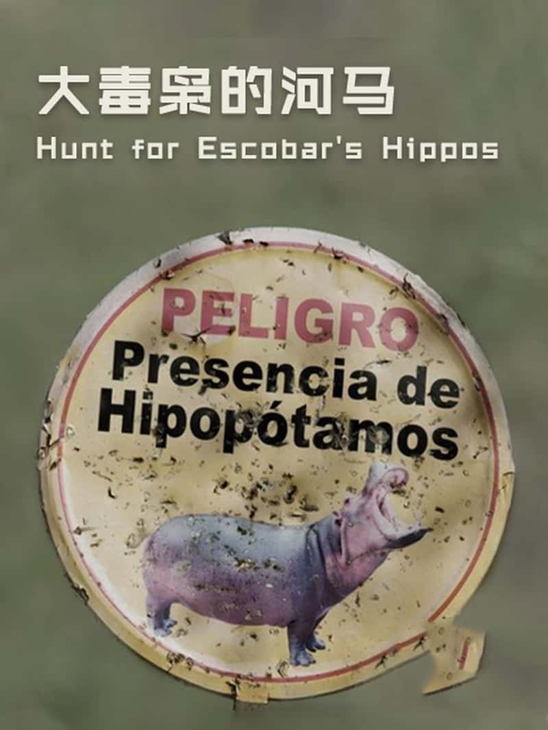 ¼Ƭɵĺ The Hunt for Escobar's Hippos 2020-Ѹ