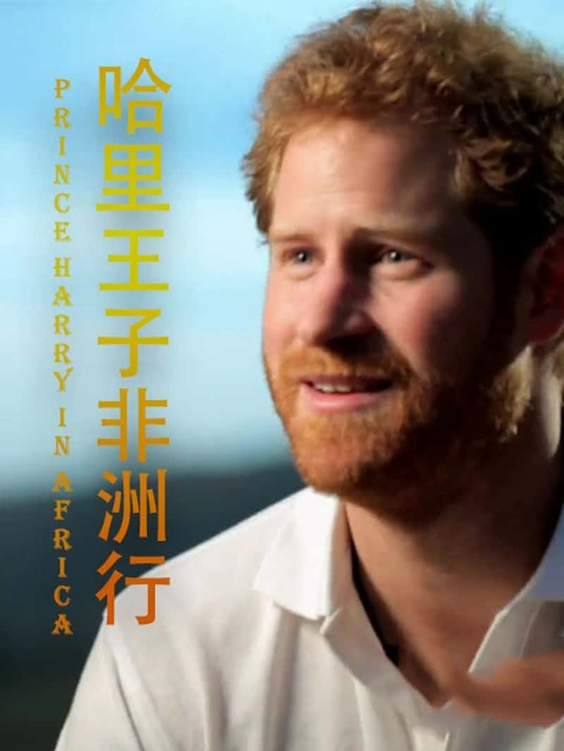 Ӣ¼Ƭӷ Prince harry in Africa 2017-Ѹ