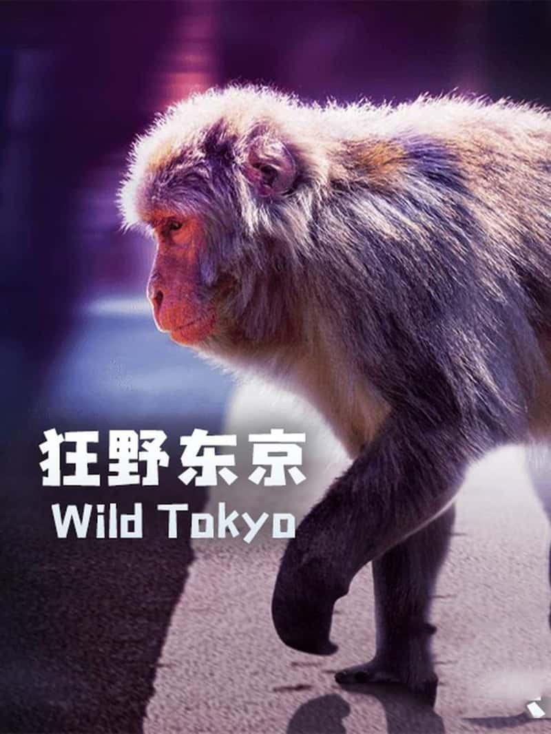 Ӣ¼ƬҰ Wild Tokyo 2020-Ѹ