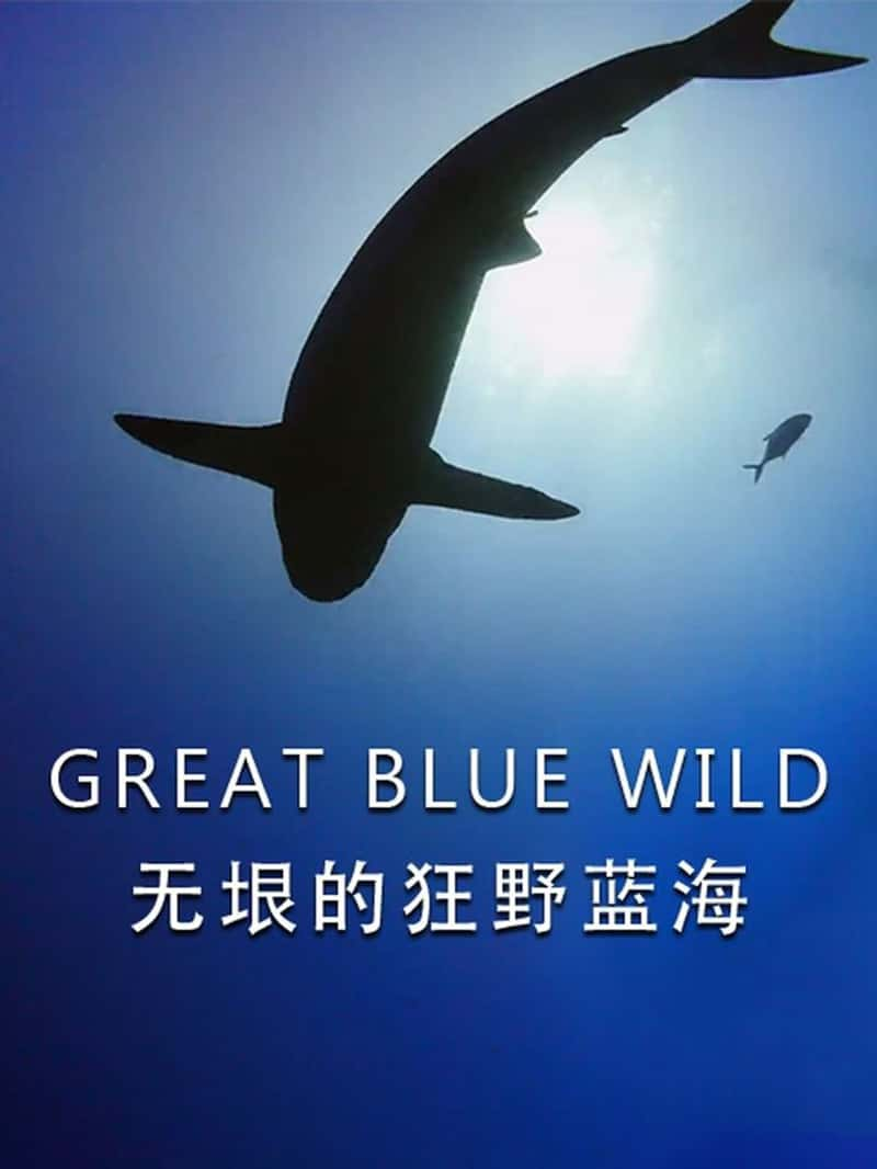 LoveNature¼ƬĿҰ Great Blue Wild-Ѹ