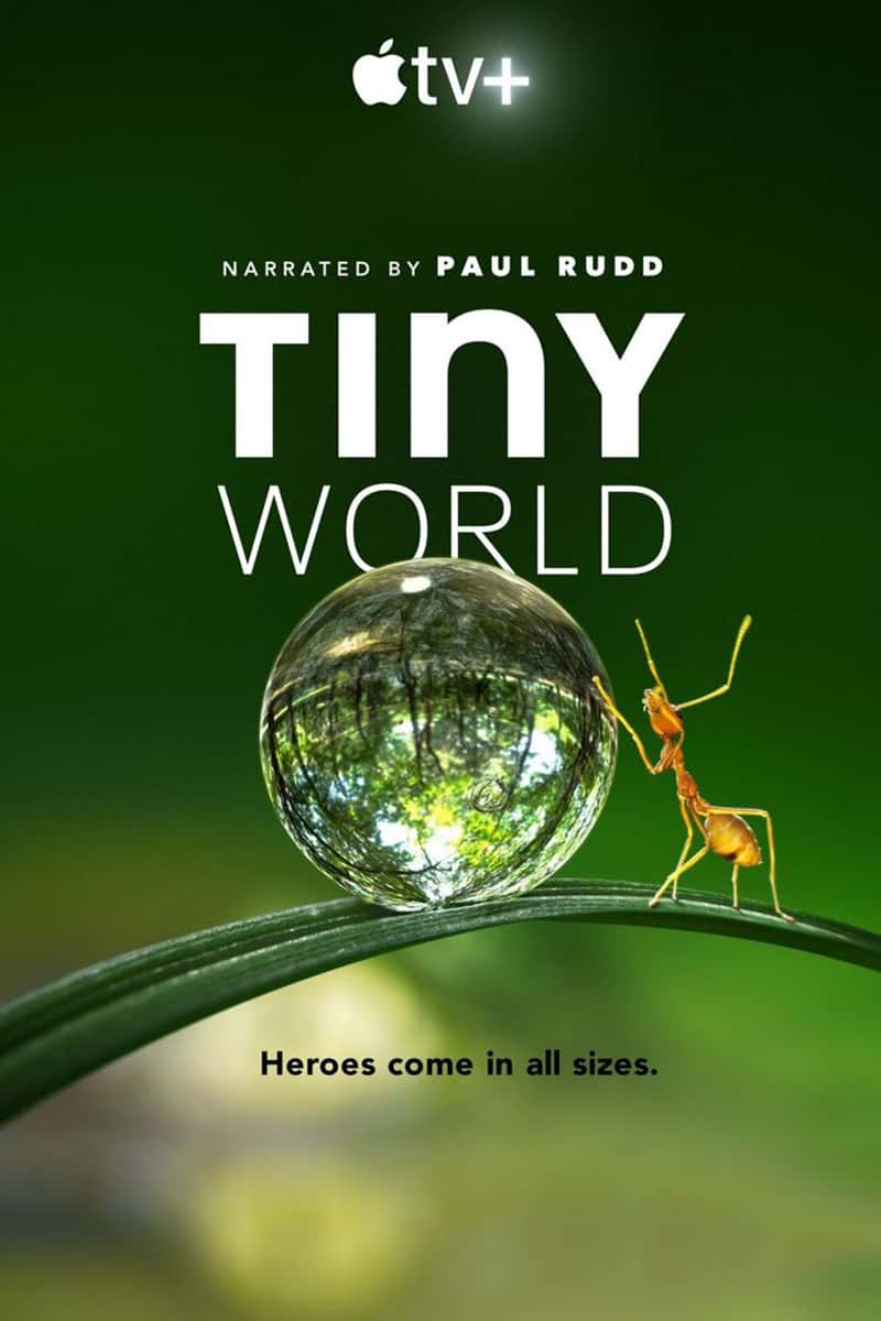 ¼ƬСС Tiny World-Ѹ