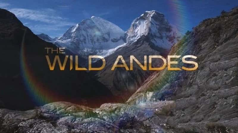 ˹ɭƵҰİ˹ɽ The Wild Andes 2019-Ѹ