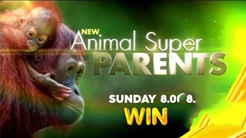 BBC¼Ƭﳬĸ Animal Super Parents-Ѹ