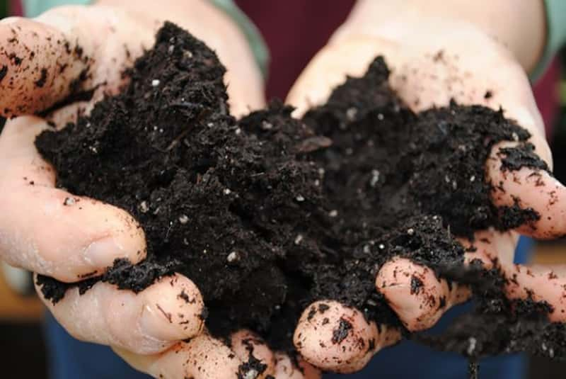 BBC¼Ƭѧ Deep Down and Dirty The Science of Soil-Ѹ