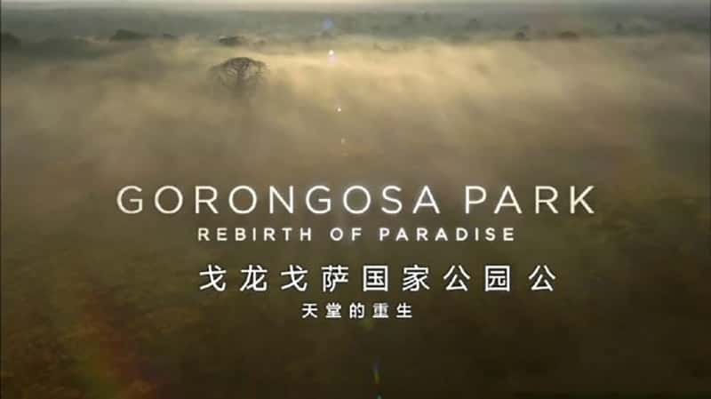 PBS¼Ƭҹ԰  Gorongosa Park-Ѹ