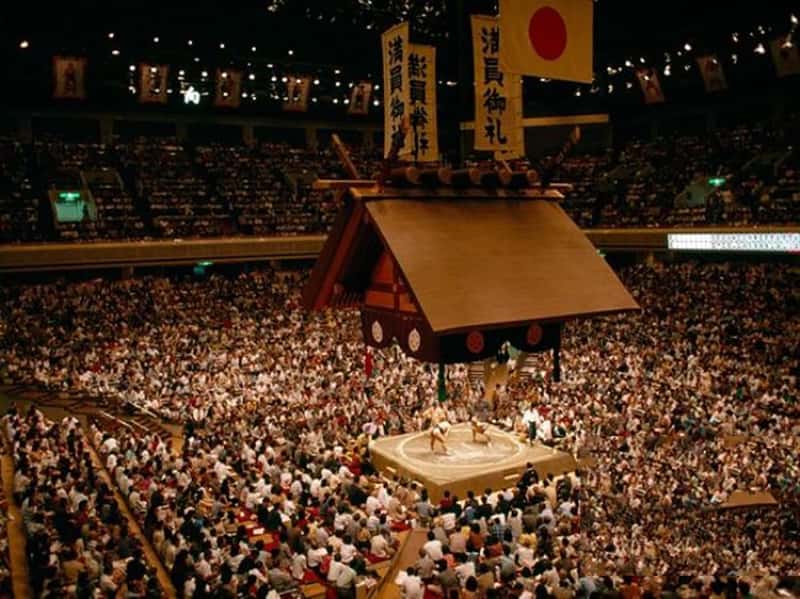 ҵ͸Ļ˴ Inside Sumo's Ultimate Clash-Ѹ