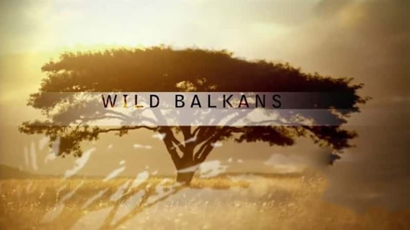 PBS¼ƬҰ԰Ͷɰ뵺 Nature Wild Balkans-Ѹ