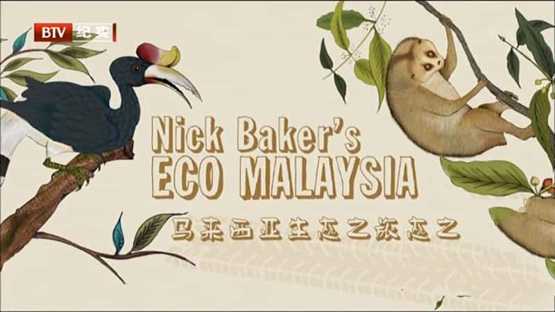 ҵˡ ̬֮ Nick Baker's Eco Malaysia-Ѹ