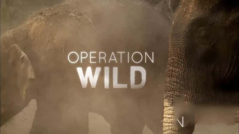 PBS¼ƬҰ Operation Wild-Ѹ