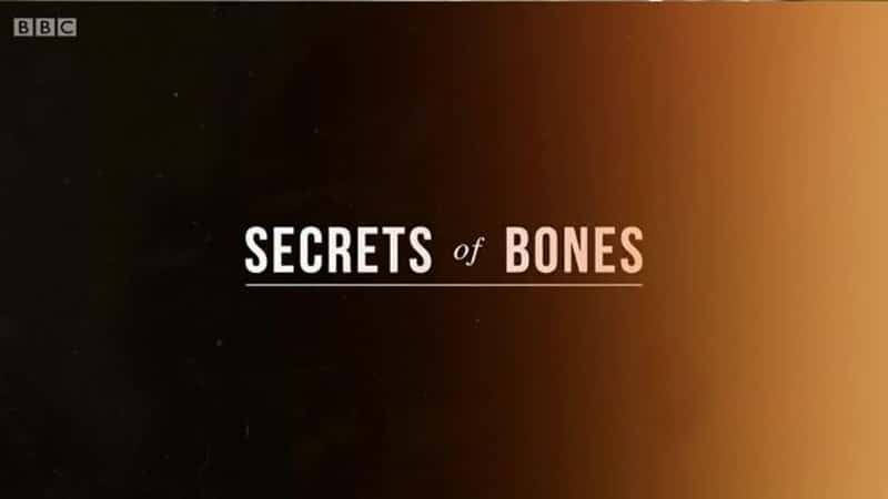 BBC¼Ƭ Secrets of Bones -Ѹ