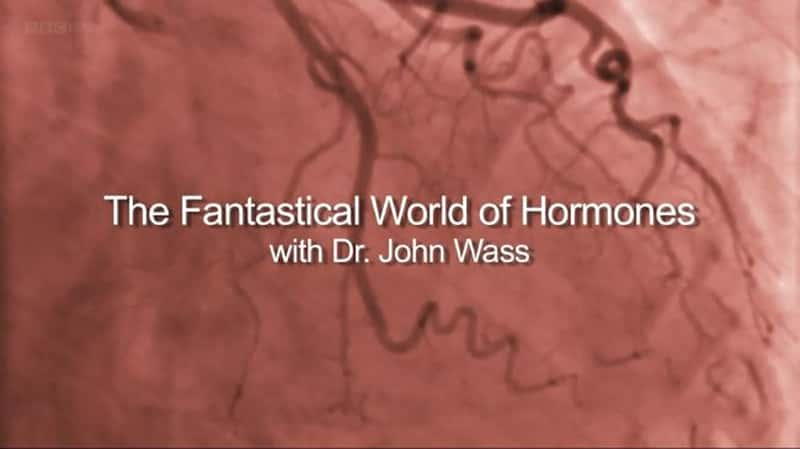 BBC¼Ƭɶɵ The Fantastical World of Hormones-Ѹ