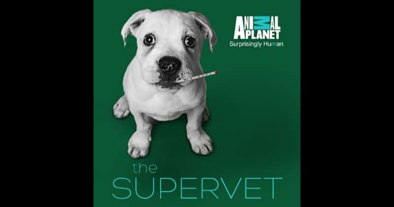 BBC¼Ƭҽ The Supervet-Ѹ