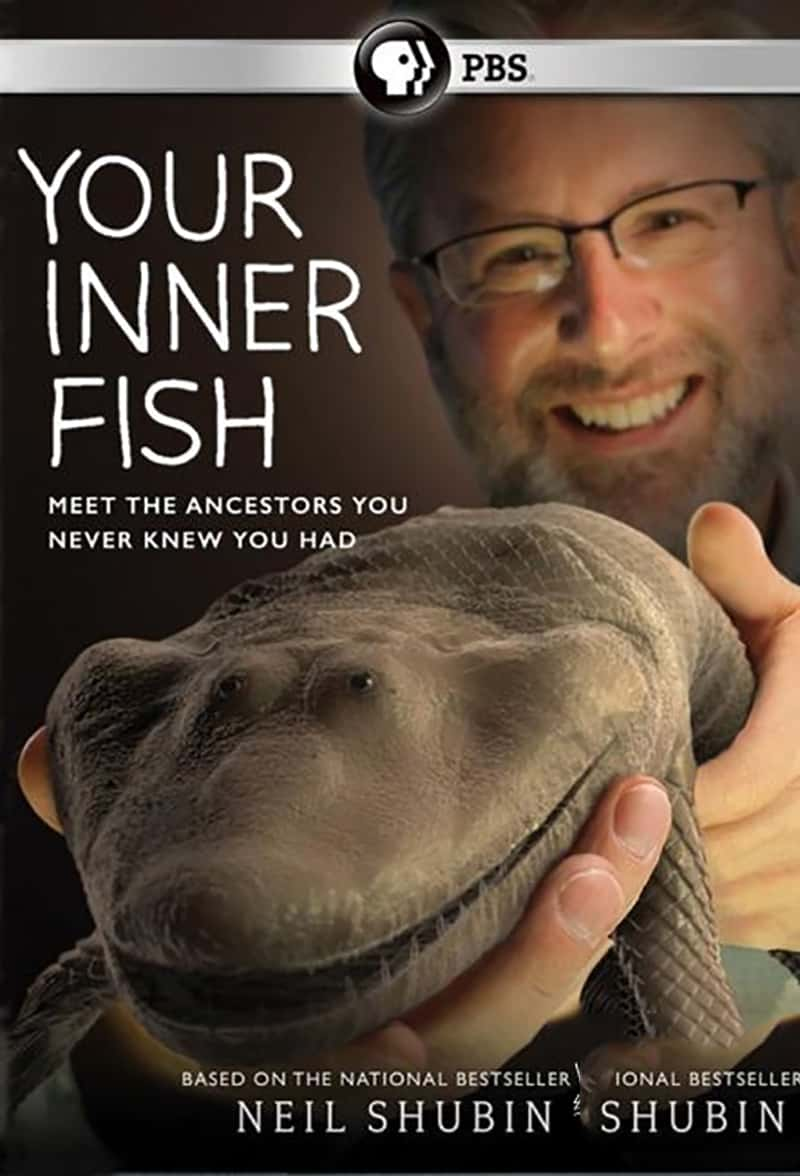 PBS¼Ƭڵ/ Your Inner Fish-Ѹ