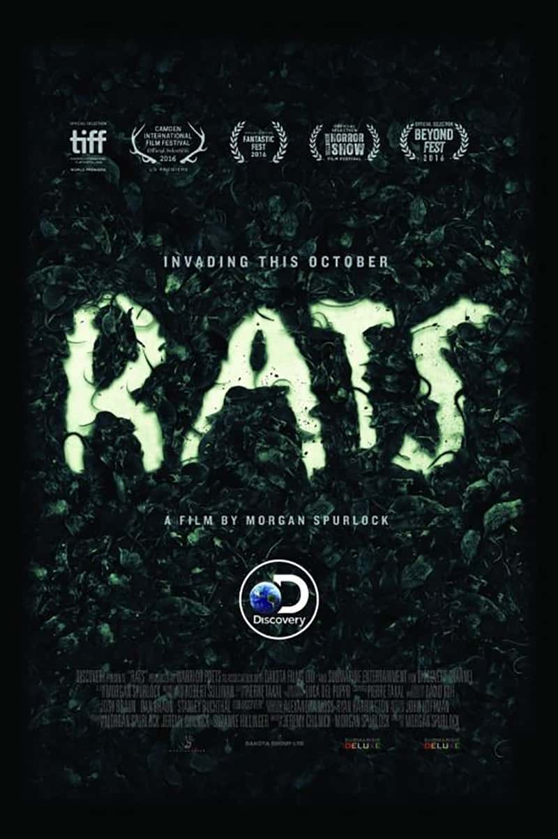 ̽ƵŦԼ Rats  2016-Ѹ