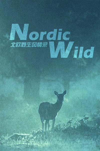 Ȼ¼Ƭ ŷҰԷ¼  Nordic Wild -Ѹ