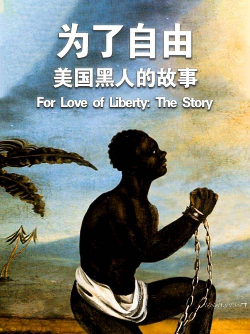 PBS¼ƬΪɣ˵Ĺ For Love of Liberty:The Story of America Black Patriots 2010ȫ2 Ӣ 1080P/MP4/5.85G ˵Ĺ¸ٶ