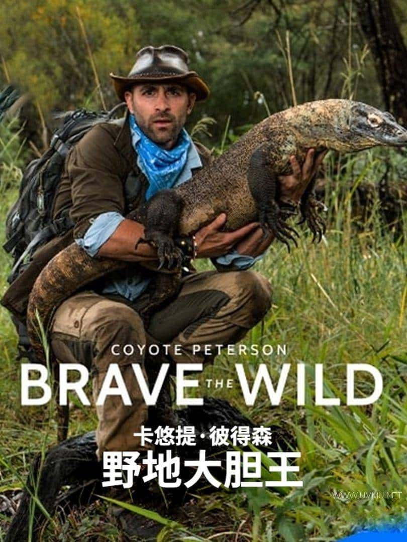 ̽ƵҰش Brave the Wild 2020ȫ18 ӢӢ˫ 1080P/MP4/19.8G ¼Ƭٶ