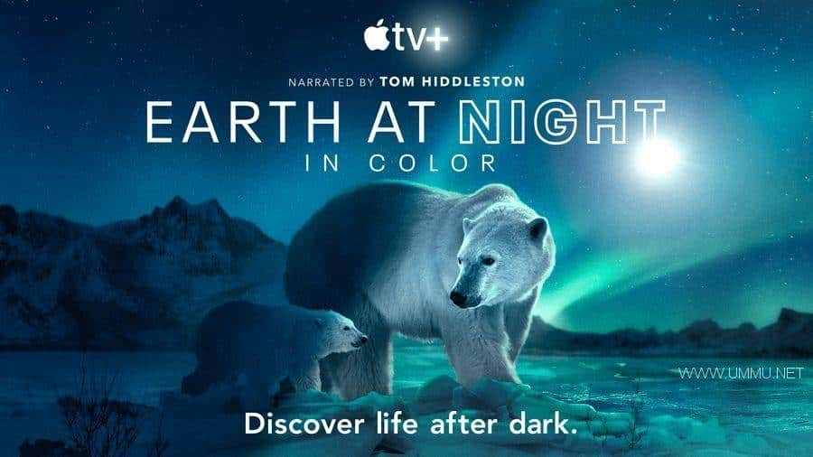 ¼Ƭҹɫеĵ Earth at Night in Color 2021ڶȫ6 ӢӢ˫ 1080P/MKV/12.7G ҹɫеĵظٶ