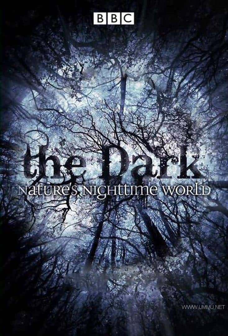 BBC¼Ƭҹж̽/ڰеȻ The Dark: Nature Nighttime World 2012ȫ3 Ӣ 1080P/MP4/2.52G ڰеĶٶ