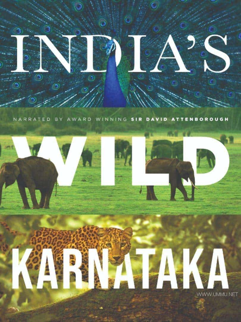 ӡȼ¼ƬҰӡȿ˰ Wild Karnataka 2019ӢӢ˫ 1080P/MP4/2.25G ӡҰøٶ