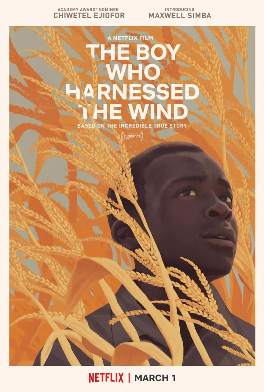 【蓝光|原盘|收藏】《驭风男孩 WEB-DL版下载 2019 The Boy Who Harnessed the Wind 6.5G》