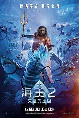 【蓝光|原盘|收藏】《海王2：失落的王国[ru]aquaman and the lost kingdom (2023) web-dl 2160p hdr dv [hurtom].mkv[22.23g]》 22.23 GB