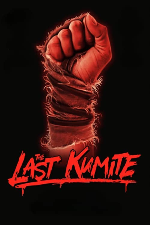 【蓝光|原版】《最后的组手/The Last Kumite》（2024）