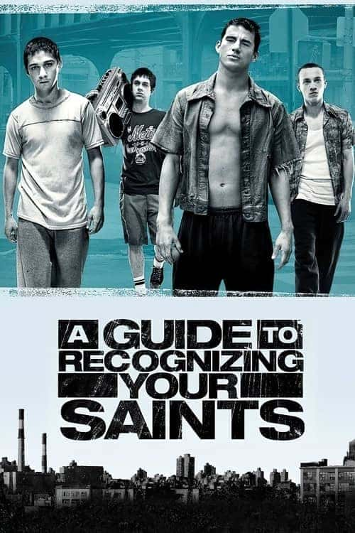 《认识圣人的指南/A Guide to Recognizing Your Saints》（2006） - 4K/1080P/720高清蓝光下载