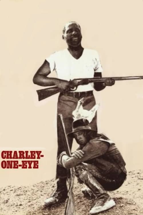 《 Charley-One-Eye》（1973） - 4K/1080P/720高清蓝光下载