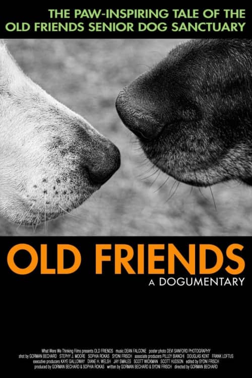 《 Old Friends, A Dogumentary》（2022） - 4K/1080P/720高清蓝光下载