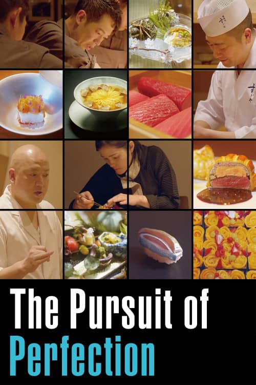 《 The Pursuit of Perfection》（2021） - 4K/1080P/720高清蓝光下载