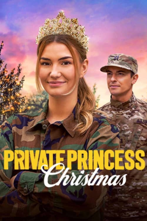 《 Private Princess Christmas》（2024） - 4K/1080P/720高清蓝光下载