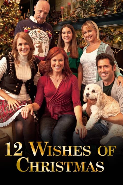 《 12 Wishes of Christmas》（2011） - 4K/1080P/720高清蓝光下载