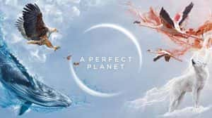 BBC自然科学纪录片《完美星球 A Perfect Planet》全5集 1080P/2K高清纪录片资源-高清标清1080P720P360P迅雷BT网盘下载