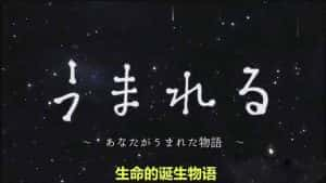 儿童性教育纪录片《生命的诞生物语》全1集 720P/1080i高清纪录片资源-高清标清1080P720P360P迅雷BT网盘下载