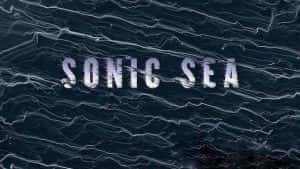 探索频道鲸鱼保护纪录片《噪音海洋 Sonic Sea》全1集 720P/1080i高清纪录片资源-高清标清1080P720P360P迅雷BT网盘下载