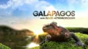 加拉帕戈斯自然生态纪录片《细看进化岛 Galapagos with David Attenborough》全3集 720P/1080i高清纪录片-高清标清1080P720P360P迅雷BT网盘下载