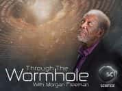 宇宙探索纪录片《摩根费里曼之穿越虫洞 Through The Wormhole》第8季 720P/1080i高清纪录片-高清标清1080P720P360P迅雷BT网盘下载