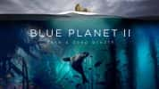 BBC海洋生态纪录片《蓝色星球The Blue Planet》第2季 720P/1080i高清纪录片-高清标清1080P720P360P迅雷BT网盘下载