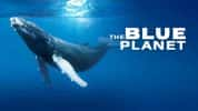 BBC海洋生态纪录片《蓝色星球The Blue Planet》第1季 720P/1080i高清纪录片-高清标清1080P720P360P迅雷BT网盘下载