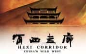 CCTV央视历史人文纪录片《河西走廊 Hexi Corridor》全10集 720P/1080i高清纪录片-高清标清1080P720P360P迅雷BT网盘下载