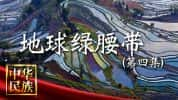 CCTV央视人文生态纪录片《地球绿腰带 The Green Girdle of the Earth》全4集 720P/1080i高清纪录片-高清标清1080P720P360P迅雷BT网盘下载