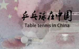 央视体育运动纪录片《乒乓球在中国 Table tennis in China》全6集 720P/1080i高清纪录片资源-高清标清1080P720P360P迅雷BT网盘下载