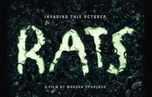 探索频道鼠疫纪录片《纽约鼠患 Rats》全1集 720P/1080i高清纪录片资源-高清标清1080P720P360P迅雷BT网盘下载