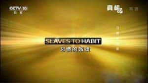 央视自律习惯纪录片《习惯的奴隶 Slaves To Habit》全1集 720P/1080i高清纪录片资源-高清标清1080P720P360P迅雷BT网盘下载