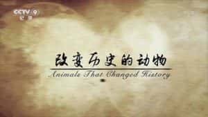 人类发展史纪录片《改变历史的动物 Animals that Changed History》全6集 720P/1080i高清纪录片资源-高清标清1080P720P360P迅雷BT网盘下载