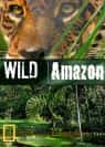 国家地理自然生态纪录片《野性亚马逊 Wild Amazon》全2集 720P/1080i高清纪录片-高清标清1080P720P360P迅雷BT网盘下载