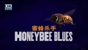 寄生螨灾害纪录片《蜜蜂杀手 Honeybee Blues》全1集 720P/1080i高清纪录片资源-高清标清1080P720P360P迅雷BT网盘下载