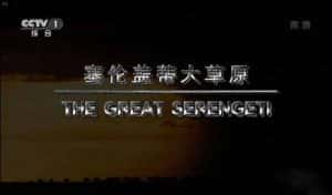 央视自然生态纪录片《塞伦盖蒂大草原 The Great Serengeti》全1集 720P/1080i高清纪录片资源-高清标清1080P720P360P迅雷BT网盘下载